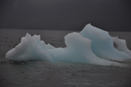 Glacier ice - delicious