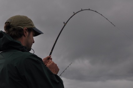 The only catch of the day